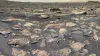 Марсоход Curiosity обнаружил нечто земное на Марсе