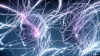 Neuralink сможет провести испытание на людях — грядет эпоха нейроинтерфесов?