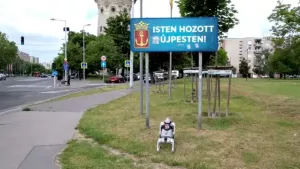 Робособака поселилась в Будапеште: новый друг детей и защитник животных
