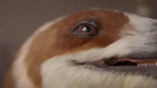 Китай создал робота-динозавра с искусственным интеллектом для музеев и парков