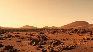 Обычные пекарские дрожжи смогут выжить в марсианских условиях