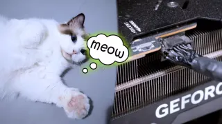 Кот владельца GeForce RTX 4090 «позвал» хозяина из туалета, когда карта загорелась