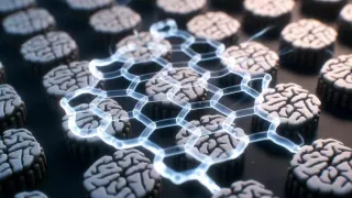 Лабораторные мини-мозги научились решать задачи: новый шаг в развитии органоидов