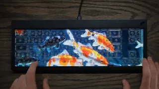 Клавиатура с экраном Finalmouse Centerpiece наконец-то добралась до покупателей