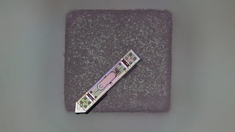 Создан самый маленький в мире беспроводной нейроимплант