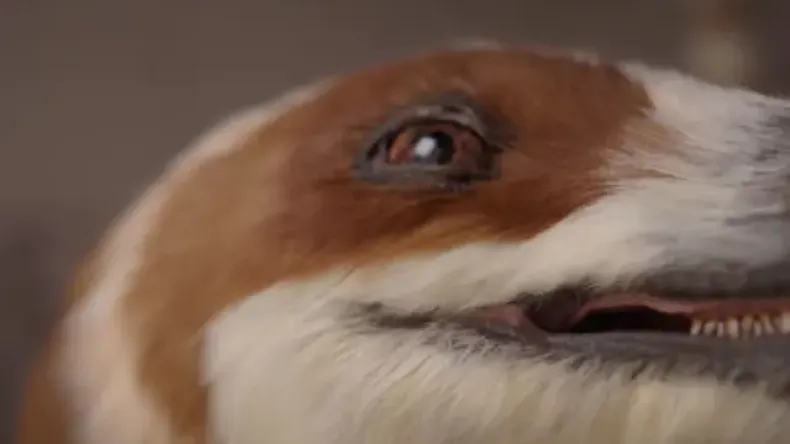 Китай создал робота-динозавра с искусственным интеллектом для музеев и парков