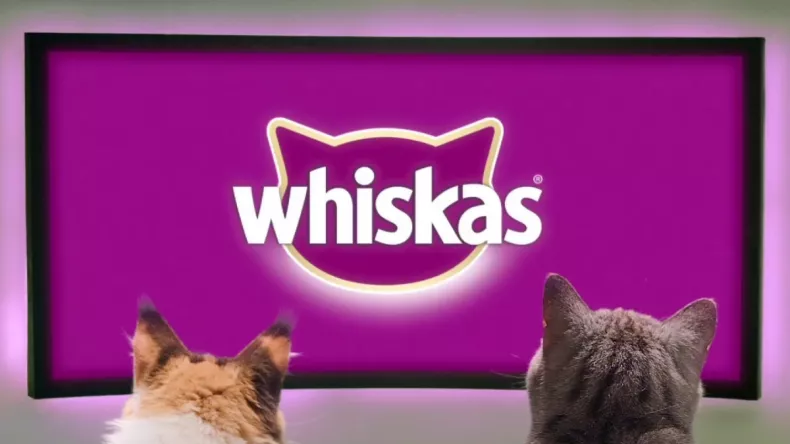 Больше мурррчаний с Whiskas! — в Яндекс.Алиса появился навык для котородителей, озвученный Николаем Дроздовым