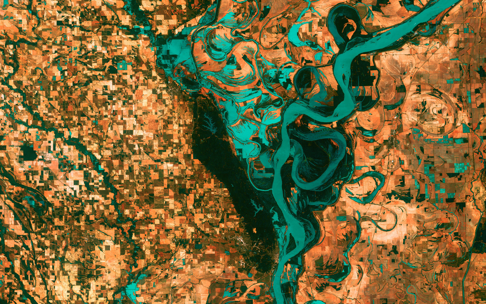 Река Миссисипи, снятая на юге от Мемфиса в 2003 году. На ней можно увидеть города и поля, окружающие реку. На изображении также видны бесчисленные озера, которые формируются, когда река изменяет свое направление.