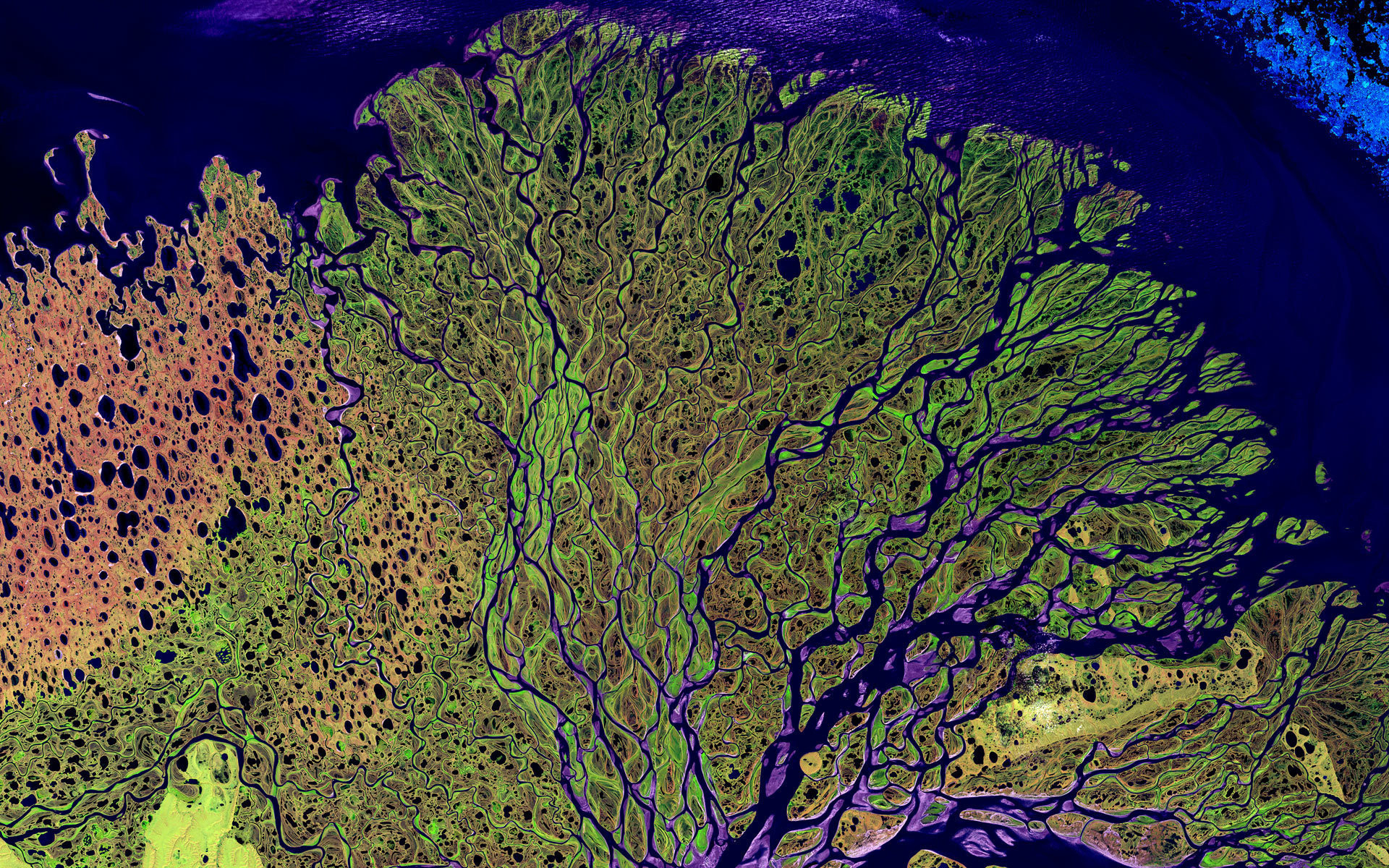 Река Лена в России, одна из крупнейших речных систем в мире. Также это важная среда обитания для многих видов флоры и фауны Сибири.