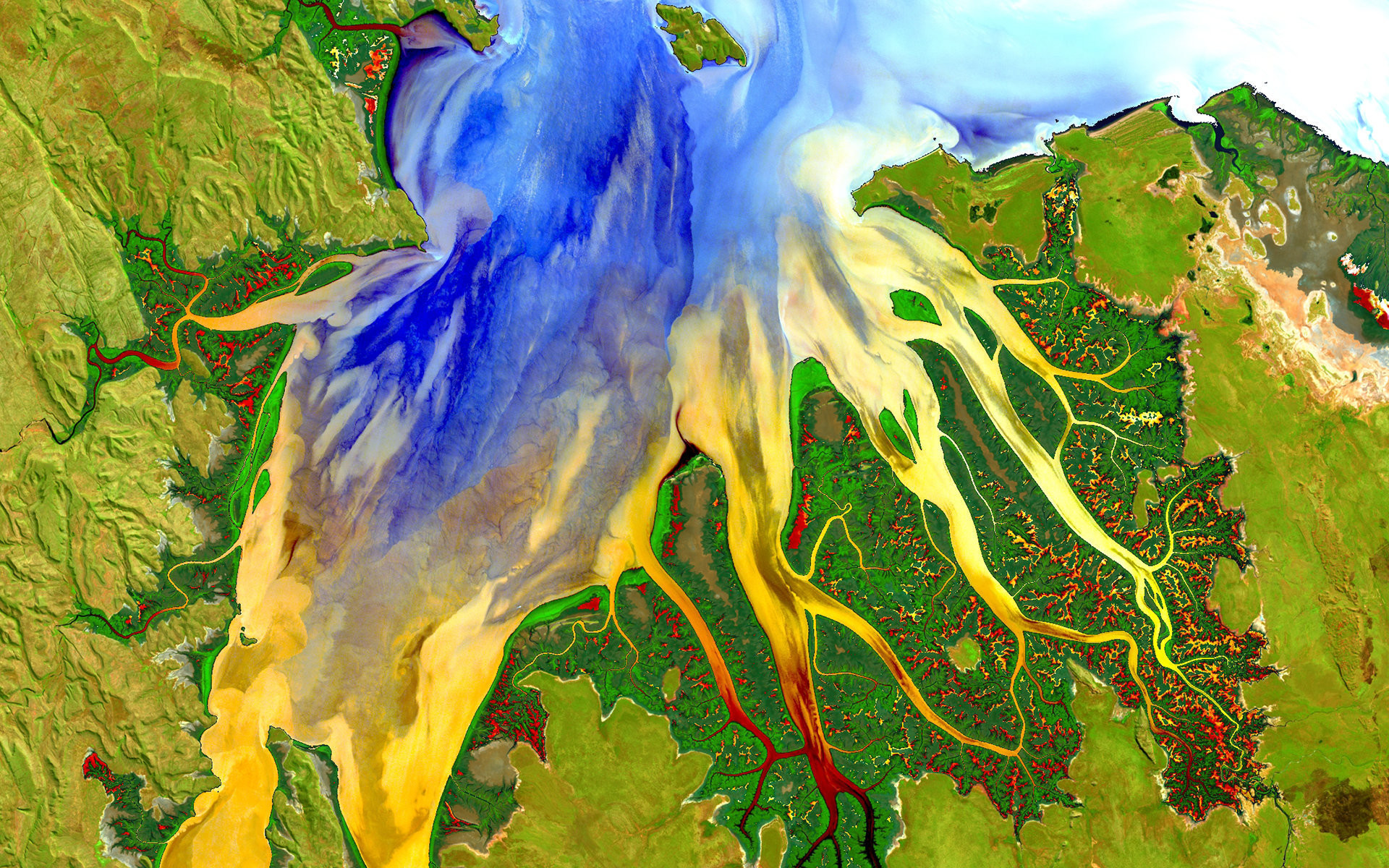 Западная Австралия в 2013 году. На фотографии изображена дельта реки, цвета изменены, чтобы показать интенсивность выноса взвеси в море.