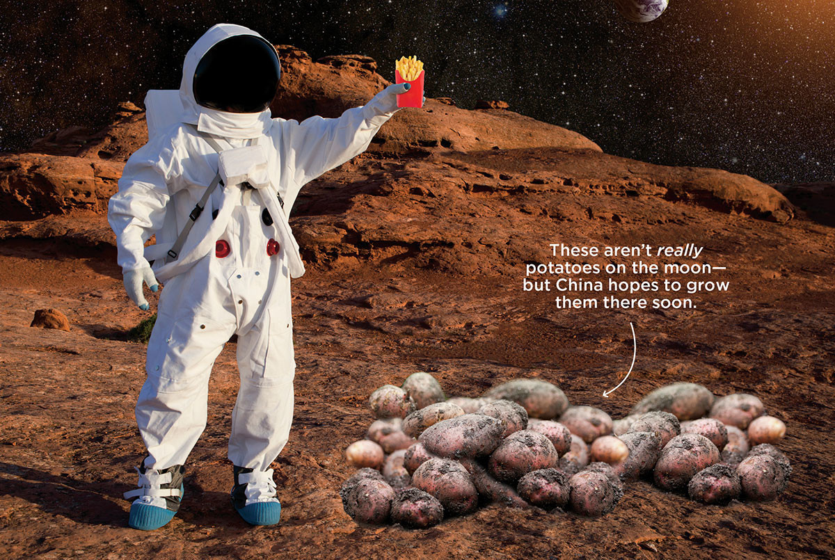Первый овощ выращенный в космосе. Марсианская картошка. Марсианин картофель. Марсианин выращивает картошку. Космическая картошка.