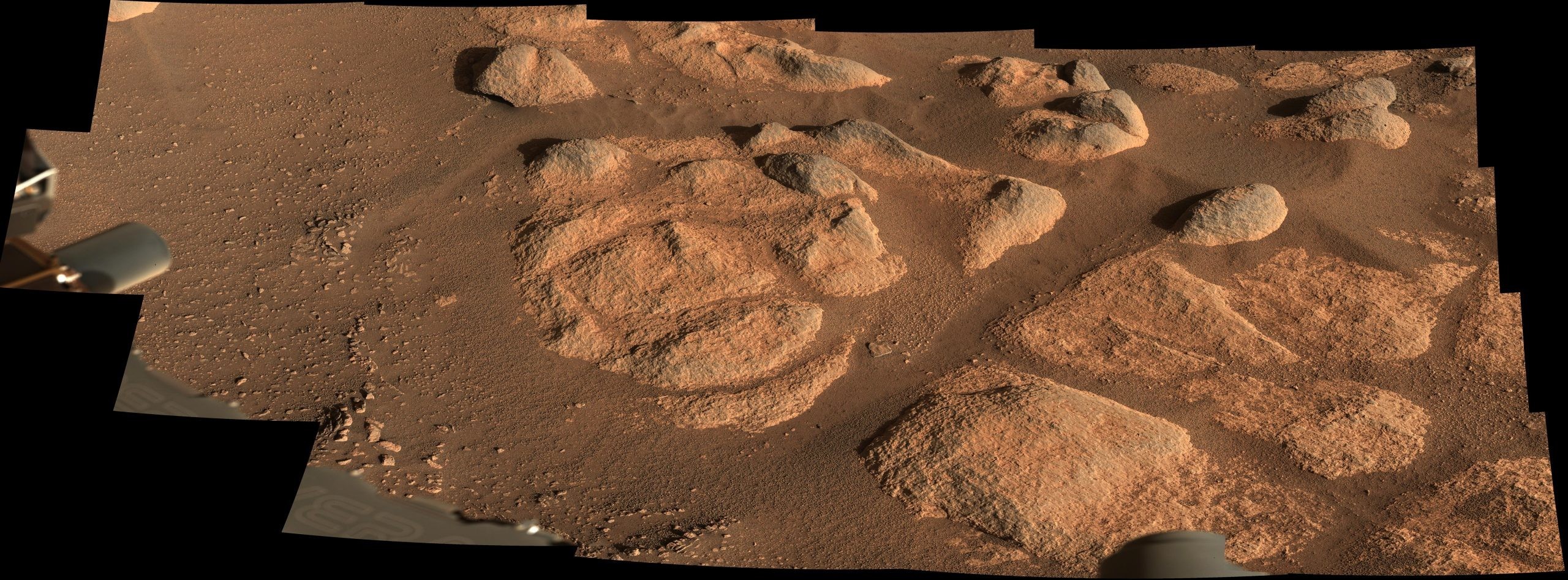 Новый камень на Марс