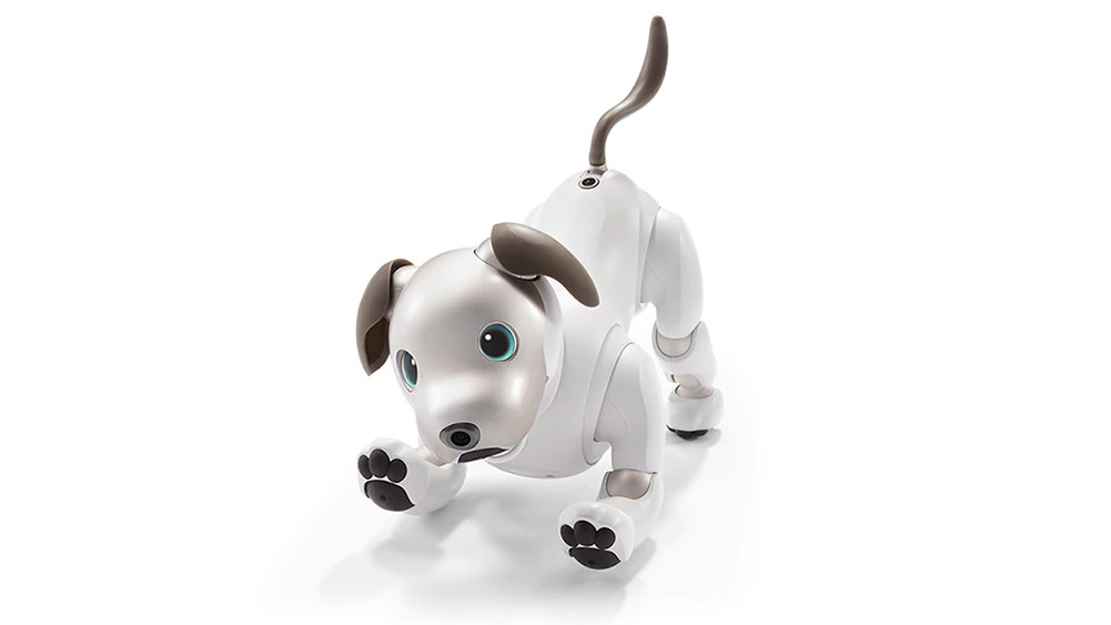 Sony анонсировала новое поколение собачки-робота 