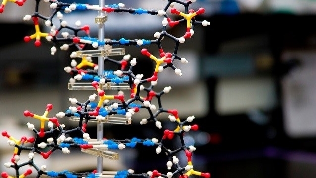 Гигантская база ДНК будет создана в Китае