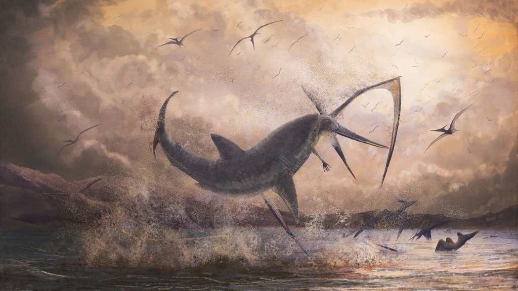Ученые открыли новый вид акул возрастом 91 млн лет 