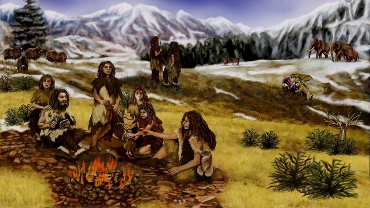 Основой рациона неандертальцев были морепродукты
