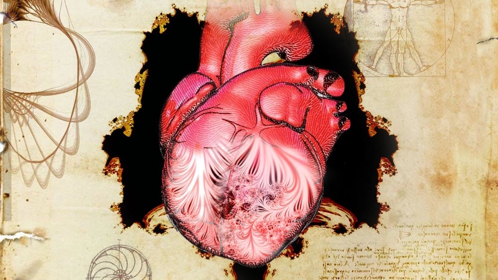 Биологическая загадка Леонардо да Винчи: новые ключи к разгадке 500-летней тайны человеческого сердца