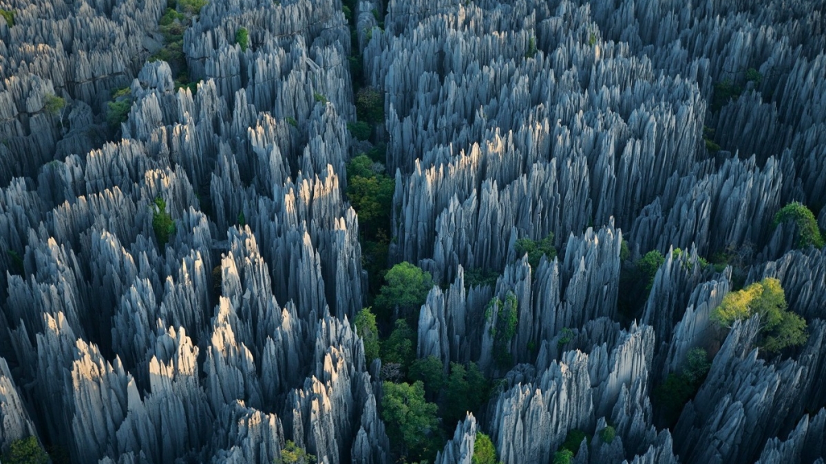 Раскрыт секрет происхождения каменных лесов