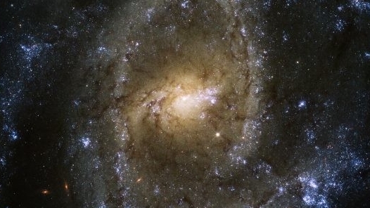 Галактика NGC 2835 — великолепный змеиный глаз далекого космоса