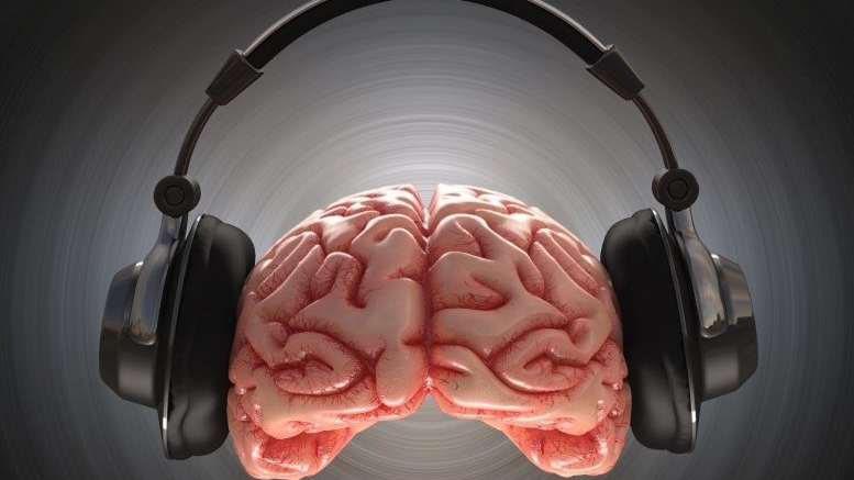 Нейробиологи выяснили, почему мозг любит музыку