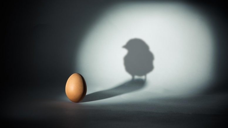Решение проблемы курицы и яйца — ученые стали на шаг ближе к решению загадки происхождения жизни