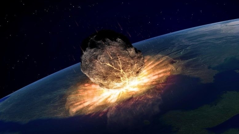 Современные тропические леса появились в следствии удара астероида