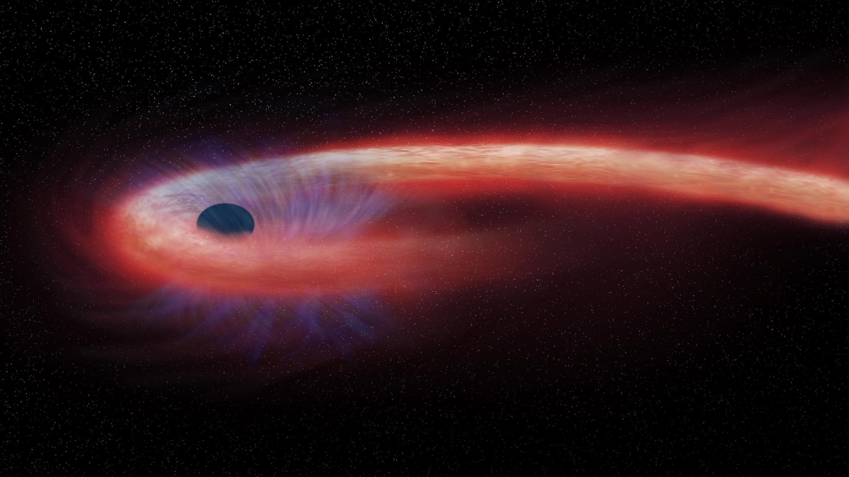 Впервые обнаружен след звезды затягиваемой в черную дыру