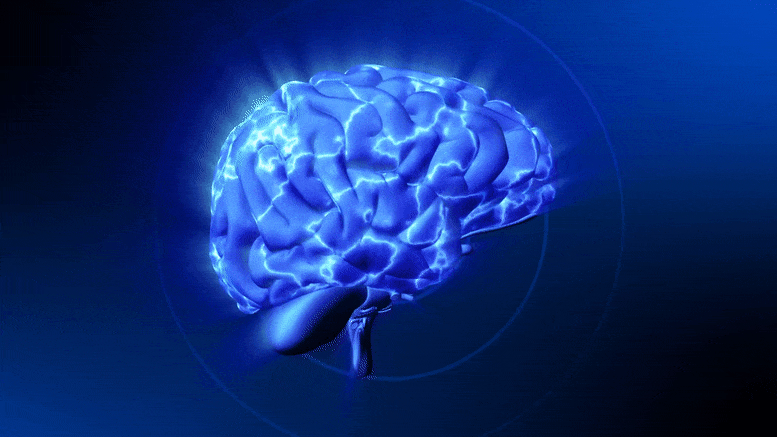 Разработан имплант способный считывать сигналы мозга и манипулировать ими