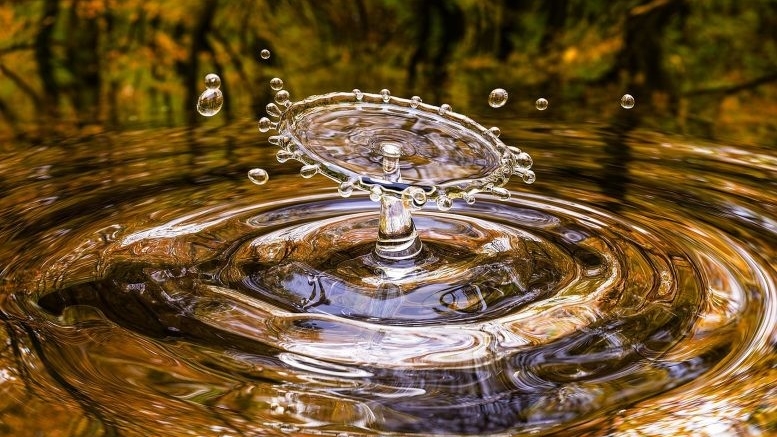 У воды есть два жидких состояния — как они получаются и чем отличаются?
