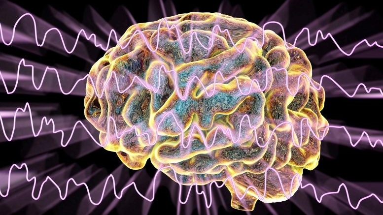Исследователи смогли улучшить психические функции человека с помощью стимуляции мозга