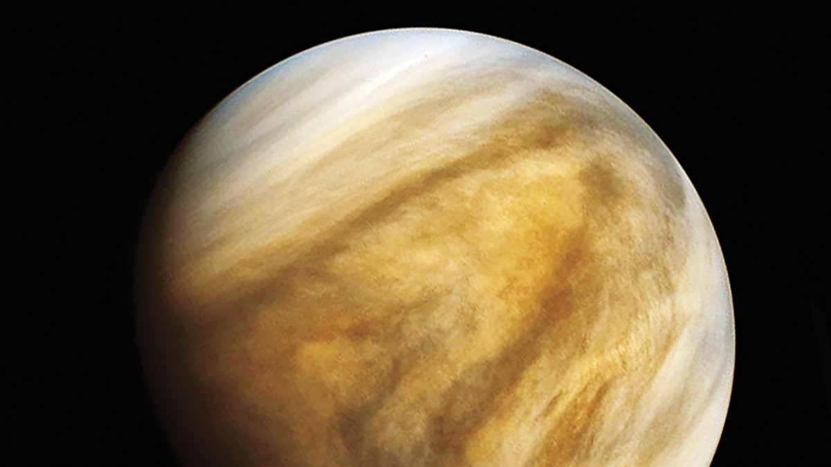 Оазисы из аммиака — теория о возможной жизни на Венере