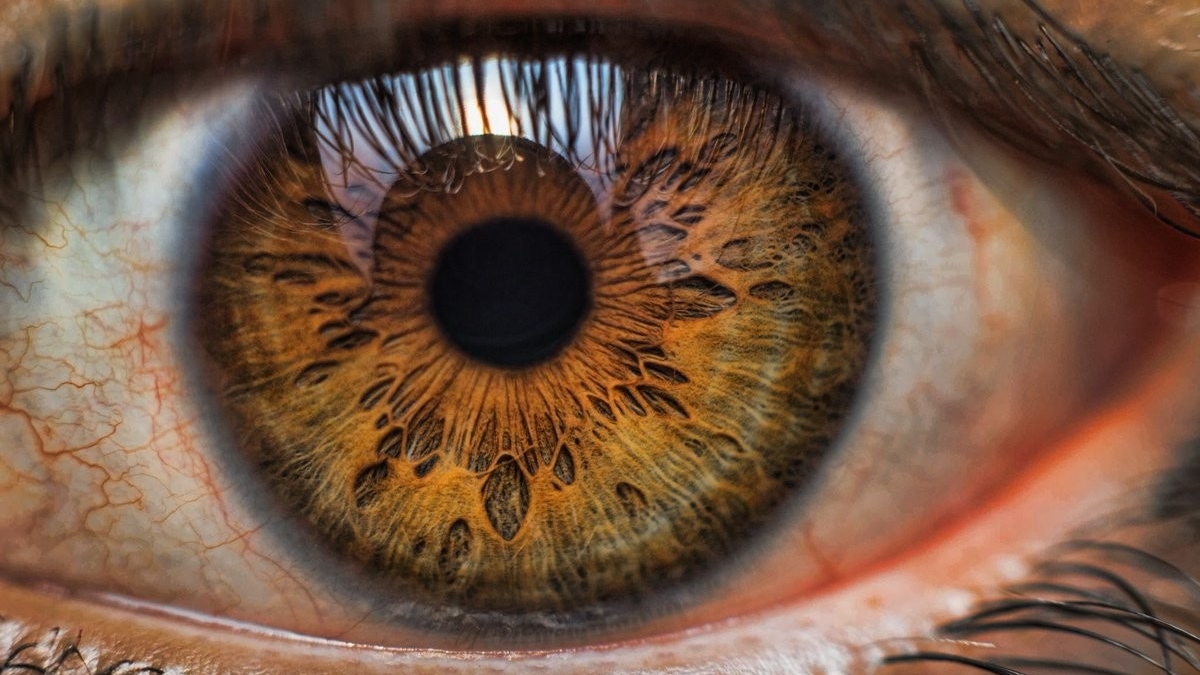 Искусственный интеллект может определить риск сердечного приступа по снимку глаза