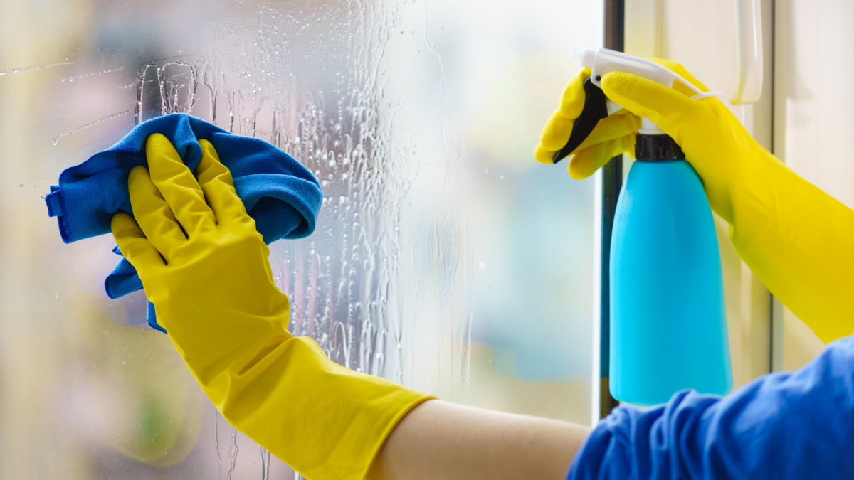 Ученые объяснили, зачем нужно мыть грязные окна