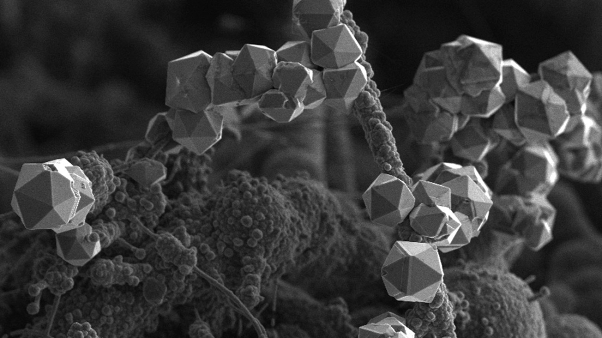 Завораживающее зрелище — ученые смогли впервые пронаблюдать процесс формирования нанокристаллов