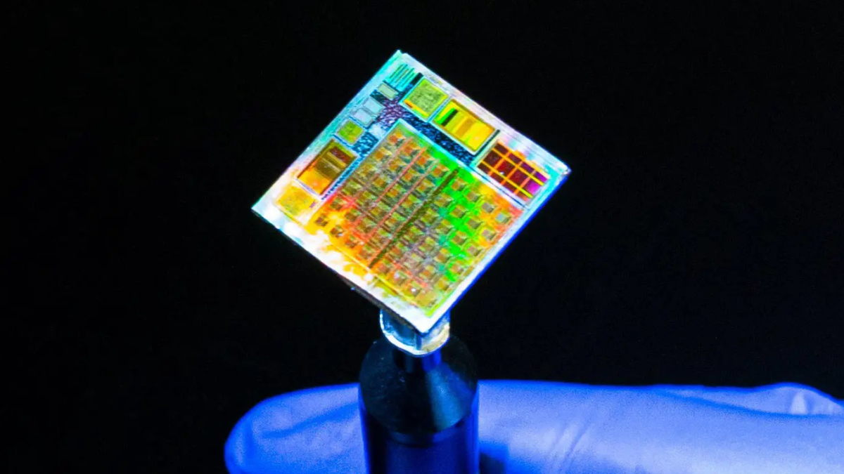 Создан первый в мире функциональный 2D-микрочип