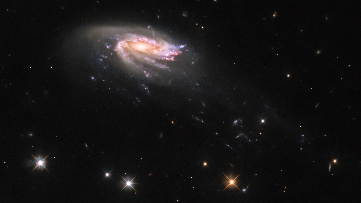 Свежие фото Hubble — разгадка тайн галактик медуз