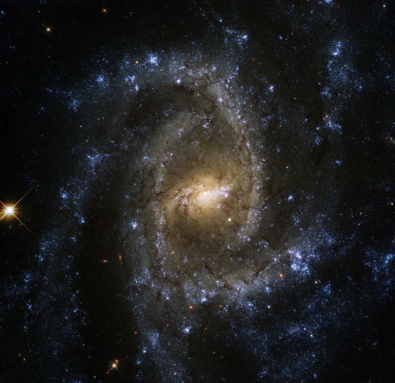 Галактика NGC 2835 — великолепный змеиный глаз далекого космоса 1 Галактика NGC 2835 — великолепный змеиный глаз далекого космоса