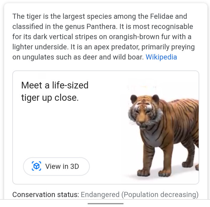 Google 3D животные и объекты: какие из них доступны и как их использовать 1 Google 3D животные и объекты: какие из них доступны и как их использовать