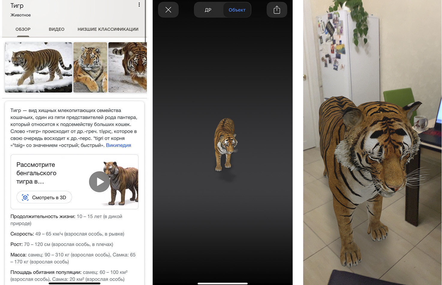 Google 3D животные и объекты: какие из них доступны и как их использовать 2 Google 3D животные и объекты: какие из них доступны и как их использовать