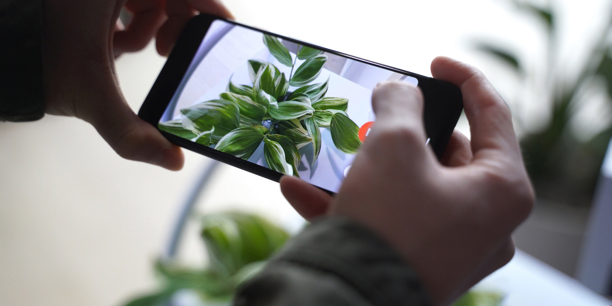 Приложение Google Camera раскрывает некоторые подробности о Pixel 6 и 6 Pro 1 Приложение Google Camera раскрывает некоторые подробности о Pixel 6 и 6 Pro