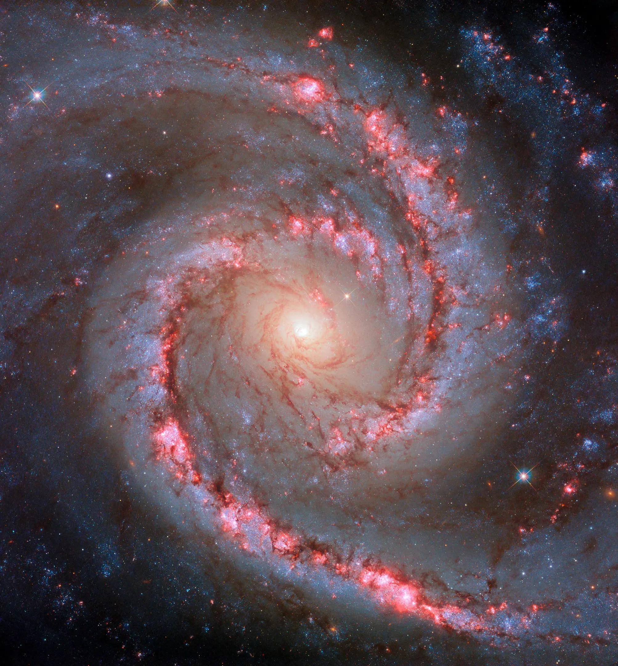 Hubble запечатлел загадочную красоту яркой галактики 1 Hubble запечатлел загадочную красоту яркой галактики