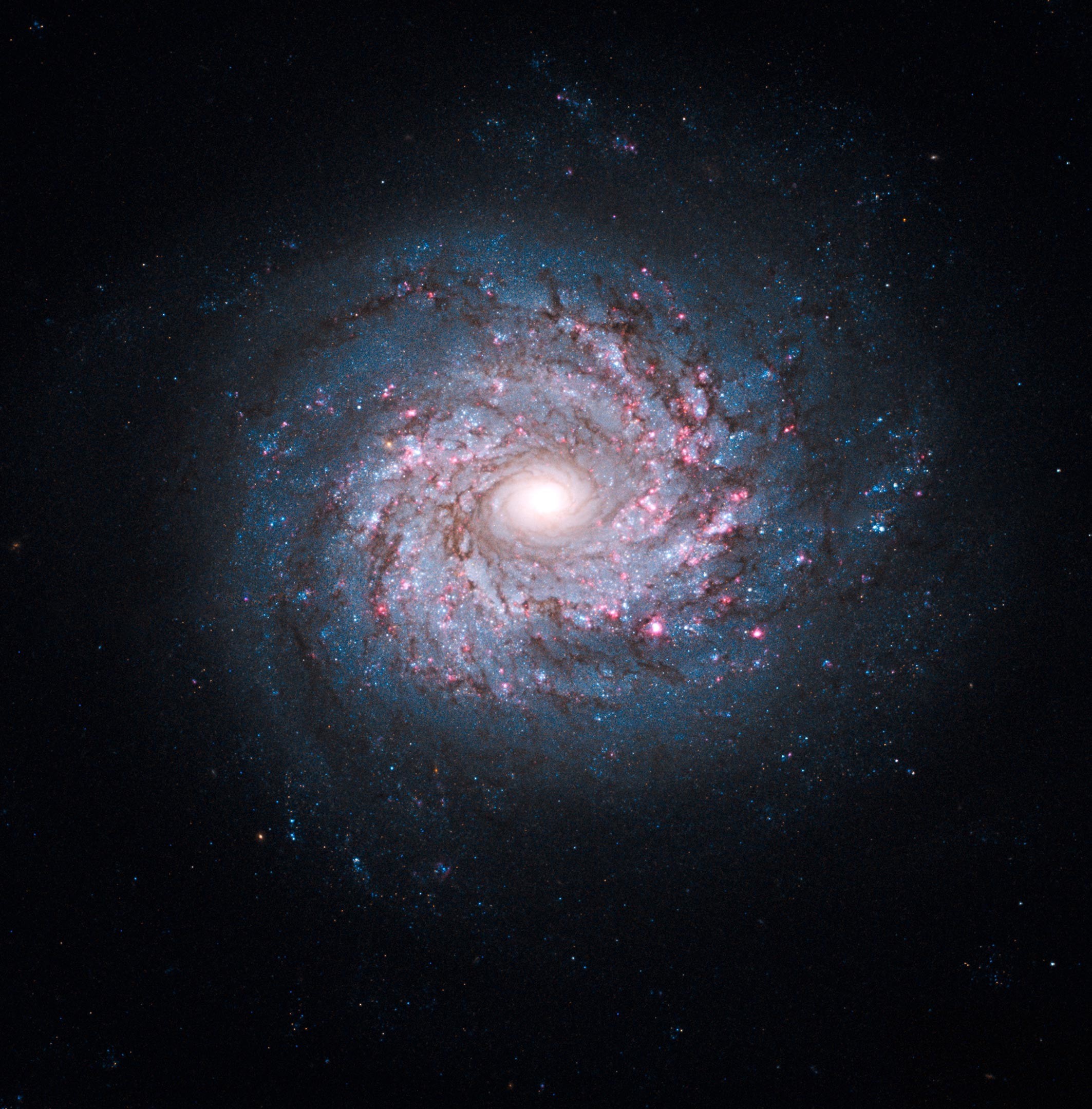 Захватывающее дух изображение звездной фабрики NGC 3982 1 Захватывающее дух изображение звездной фабрики NGC 3982