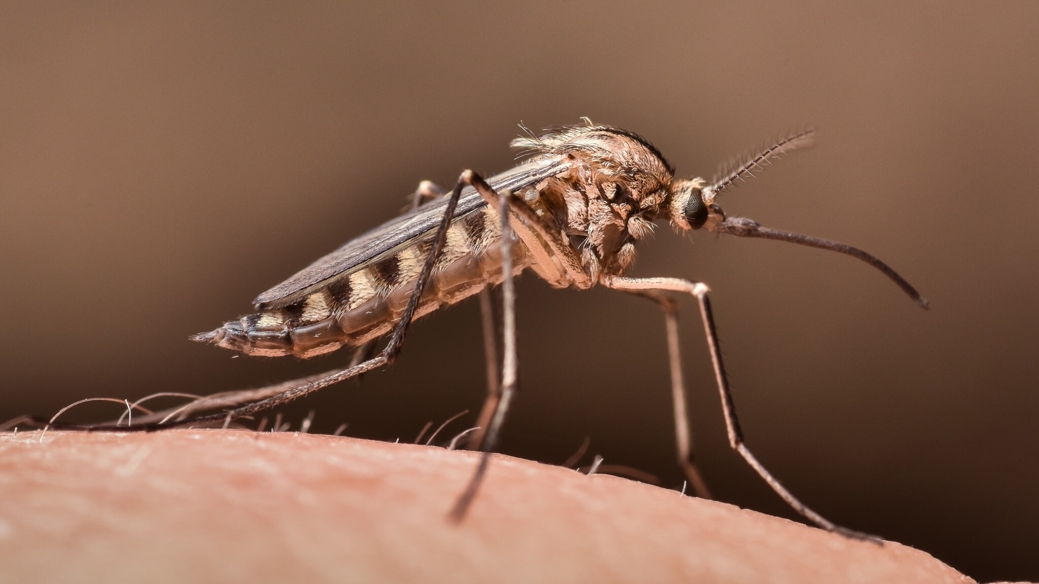 Чего ждать от 2024 года — наука и технологии, о которых мы могли не знать