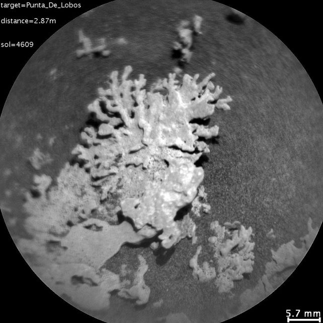 Марсианский коралл: необычная находка Curiosity в кратере Гейла 1 Эта хрупкая формация была создана в течение многих веков пескоструйной обработки.