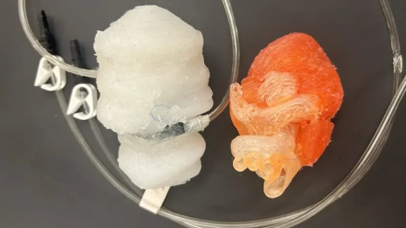 Напечатанное на 3D-принтере бьющееся сердце поможет хирургам тренироваться без этических проблем