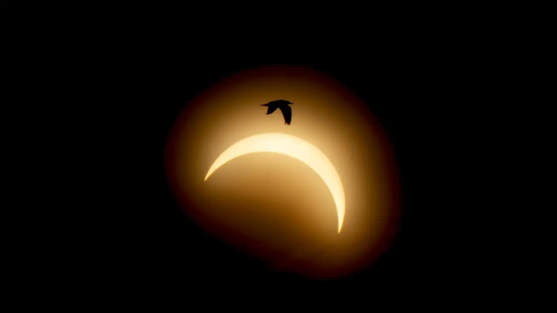 Лучшие фотографии полного солнечного затмения 2026 года со всего мира