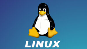 Тяжба вокруг ядра Linux завершилась поражением последнего крупного истца