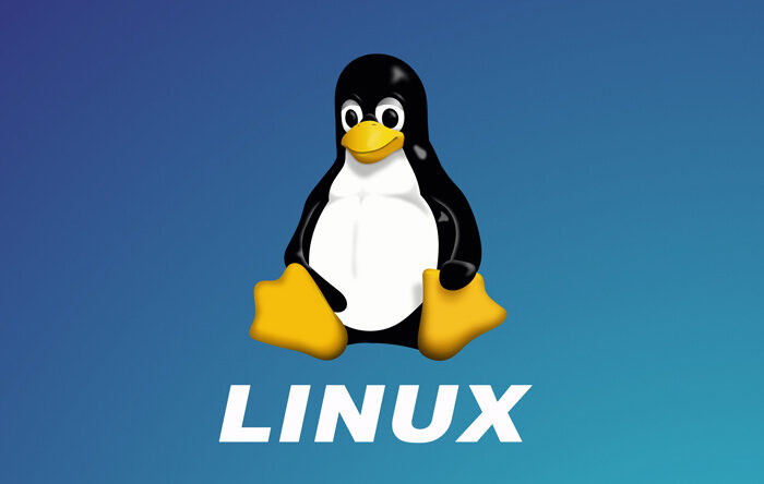 Тяжба вокруг ядра Linux завершилась поражением последнего крупного истца