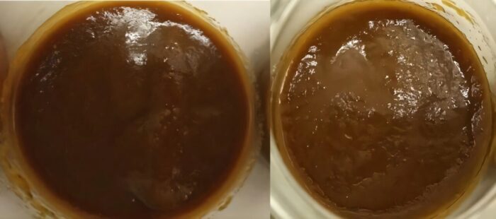 Ученые создали кетчуп с белком из микроводорослей Chlorella vulgaris 1 Ученые создали кетчуп с белком из микроводорослей Chlorella vulgaris