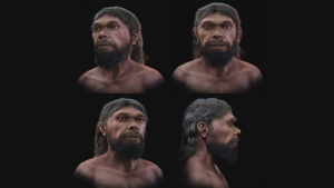 Ученые воссоздали лицо Homo sapiens возрастом 315 000 лет